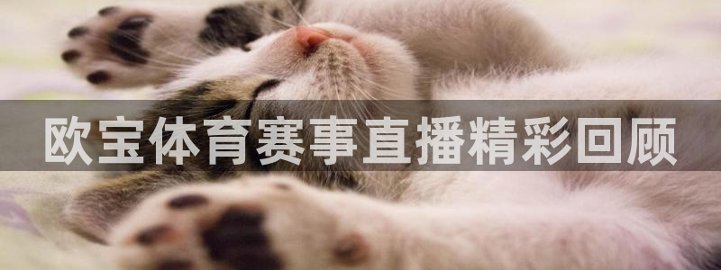劲爆体育在线直播观看