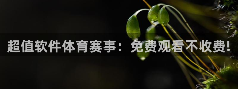 劲爆体育nba在线直播播球帝