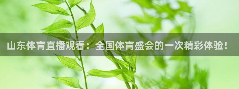 劲爆体育频道直播