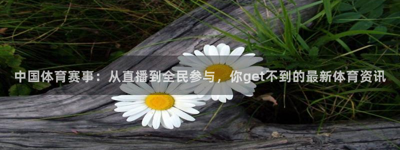 劲爆体育nba直播在线观看免费