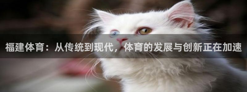 劲爆体育在线直播nba直播：福建体育：从传统到现代，体育的发展与创新正在加速
