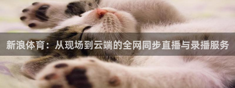 劲爆体育nba直播视频：新浪体育：从现场到云端的全网同步直播与录播服务