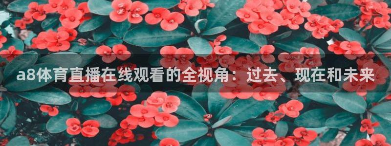 劲爆体育高清免费直播观看：a8体育直播在线观看的全视角：过去、现在和未来