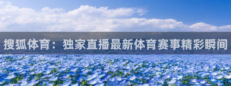 劲爆体育高清免费直播观看：搜狐体育：独家直播最新体育赛事精彩瞬间