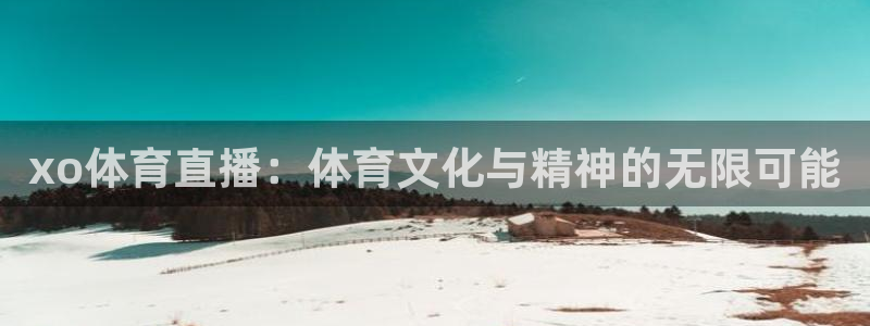 劲爆体育频道高清直播：xo体育直播：体育文化与精神的无限可能