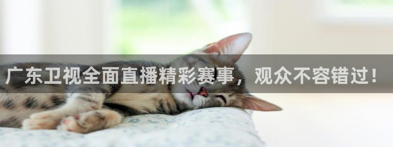 劲爆体育nba在线直播免费观看：广东卫视全面直播精彩赛事，观众不容错过！