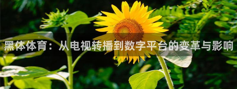 f1直播 劲爆体育：黑体体育：从电视转播到数字平台的变革与影响